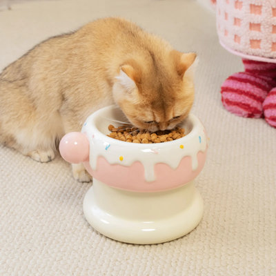 MacKenzie-Childs Rosy Check Mocha Check Cat Dish & Reviews | Wayfair